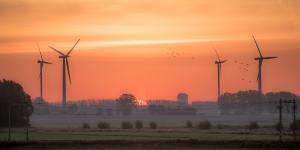 Painting Wind Turbines Reduces Bird Deaths by 70%