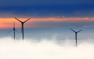 Coles 100% renewables